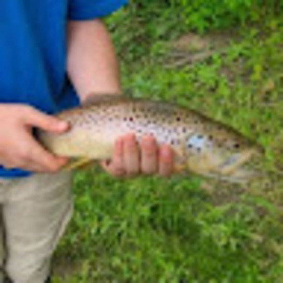 noahpicker8